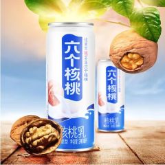 养元六个核桃精研型 240毫升