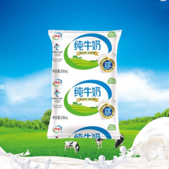 伊利枕式纯牛奶 240ML
