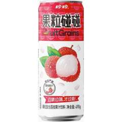 珍珍果粒复合荔枝果汁 490克