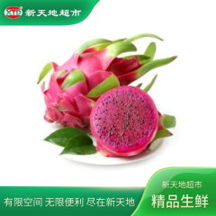 国产红心火龙果  550g