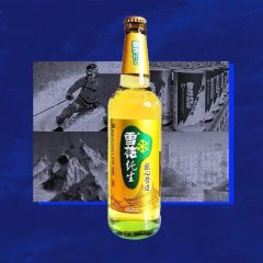 雪花啤酒金纯生瓶  500ML