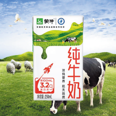 蒙牛小盒纯牛奶  250ML