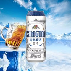 青岛全麦白啤 500ML